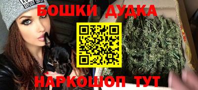 прущие крисы Камышлов