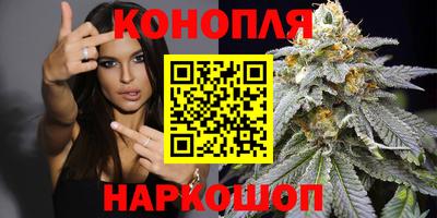 прущие крисы Камышлов