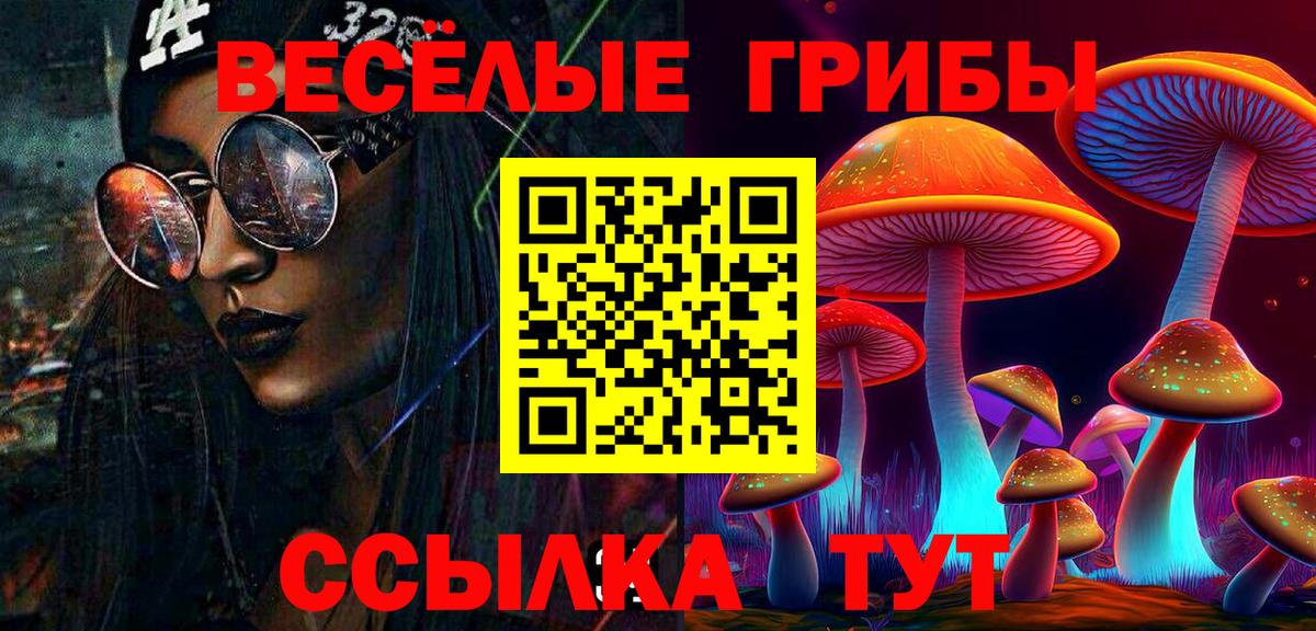 ГАШ Кстово