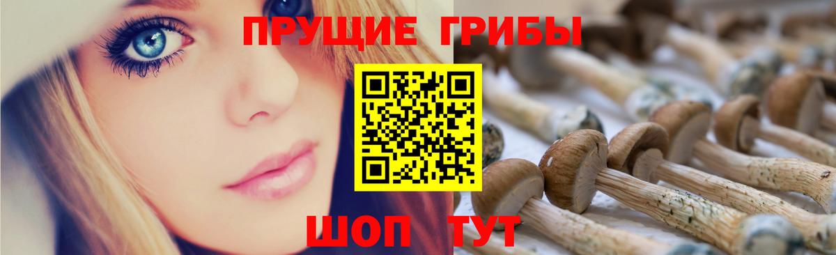 Галлюциногенные грибы ЛСД Кстово