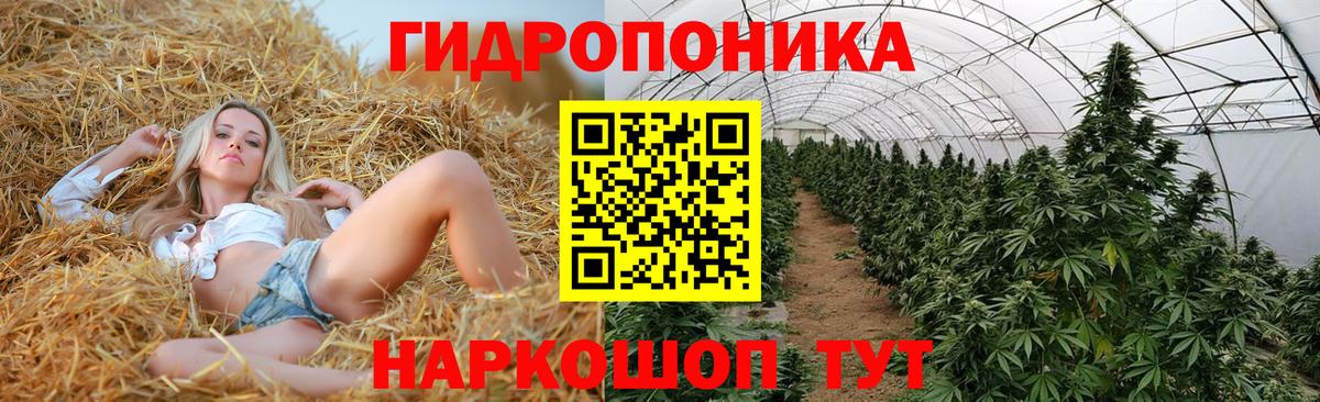 Бошки марихуана Ganja  Бошки Шишки Amnesia  Вход с VPN  Бошки Шишки сатива  Кстово 